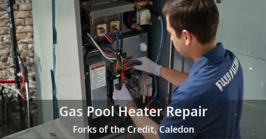 Gas Pool Heater Repair Forks of the Credit, Caledon - ON
