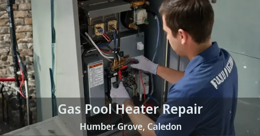 Gas Pool Heater Repair Humber Grove, Caledon - ON
