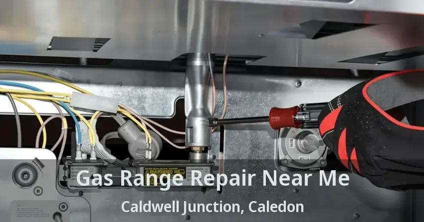 Gas Range Repair Near Me Caldwell Junction, Caledon - ON
