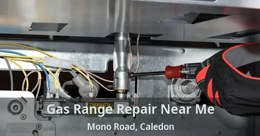 Gas Range Repair Near Me Mono Road, Caledon - ON