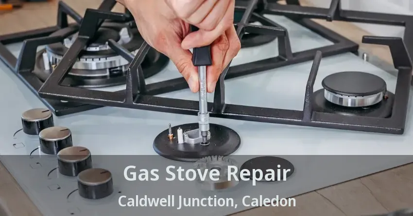 Gas Stove Repair Caldwell Junction, Caledon - ON