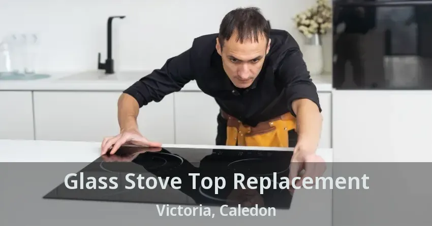 Glass Stove Top Replacement Victoria, Caledon - ON