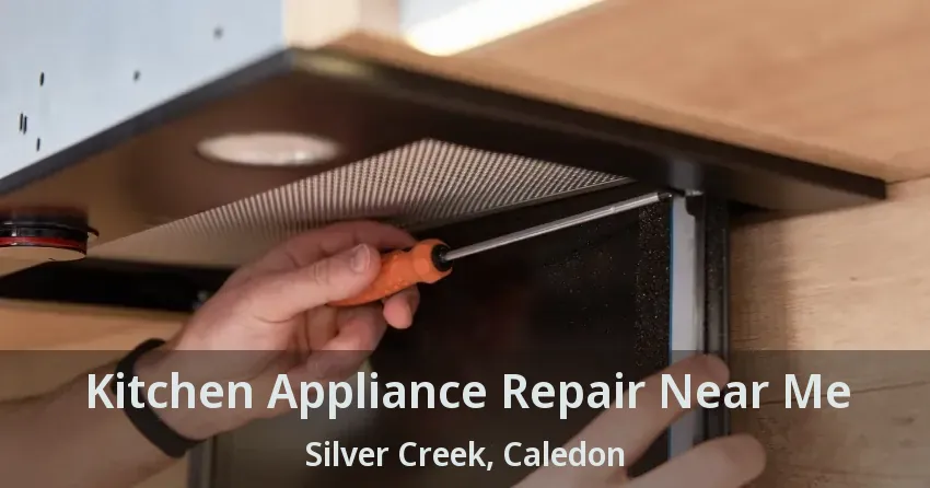 Kitchen Appliance Repair Near Me Silver Creek, Caledon - ON