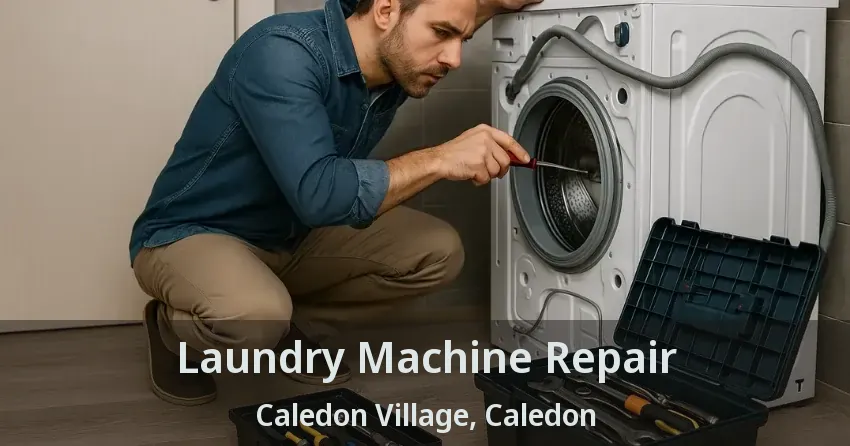 Laundry Machine Repair Caledon Village, Caledon - ON