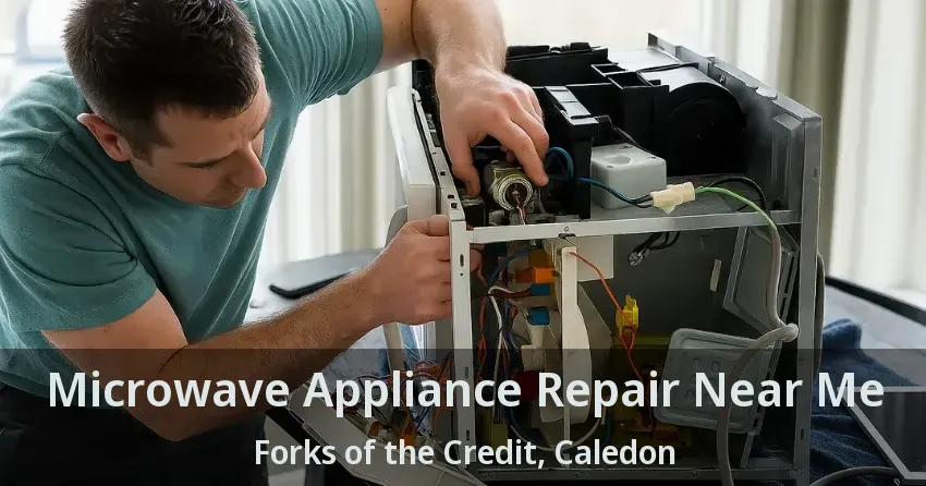 Microwave Appliance Repair Near Me Forks of the Credit, Caledon - ON