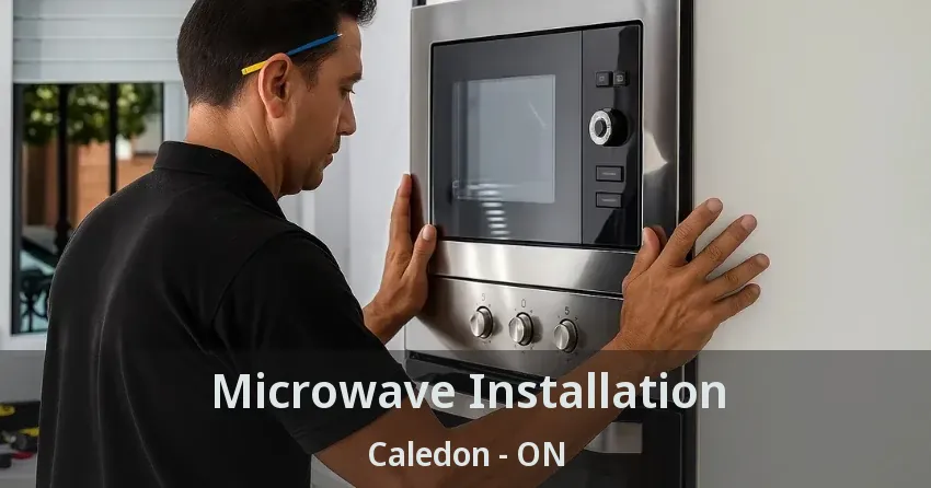 Microwave Installation Caledon - ON