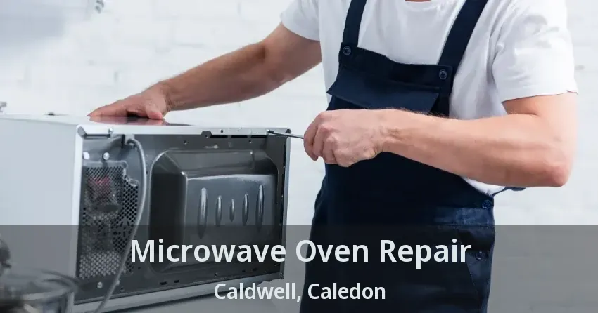 Microwave Oven Repair Caldwell, Caledon - ON