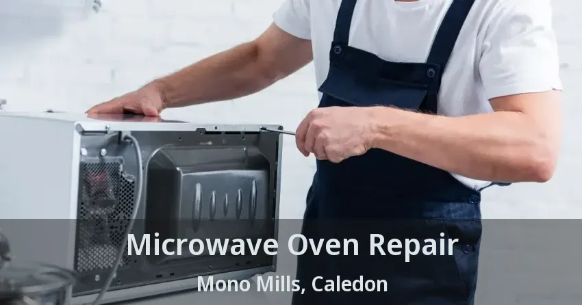 Microwave Oven Repair Mono Mills, Caledon - ON