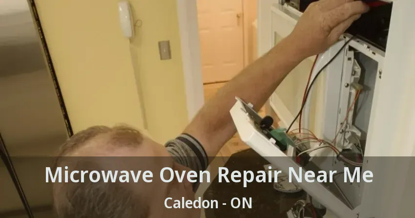 Microwave Oven Repair Near Me Caledon - ON