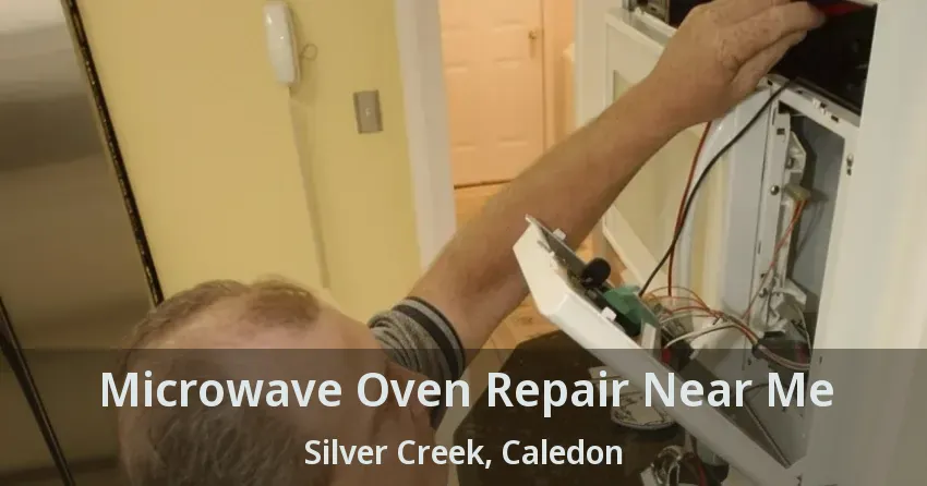 Microwave Oven Repair Near Me Silver Creek, Caledon - ON