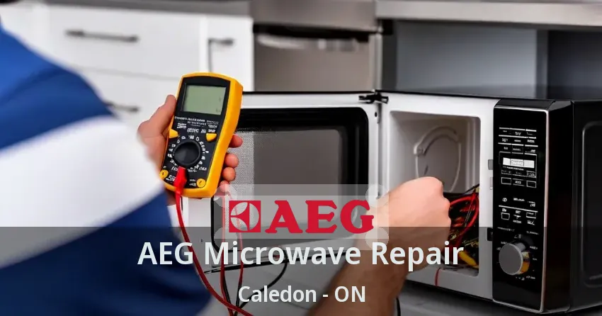 AEG Microwave Repair Caledon - ON