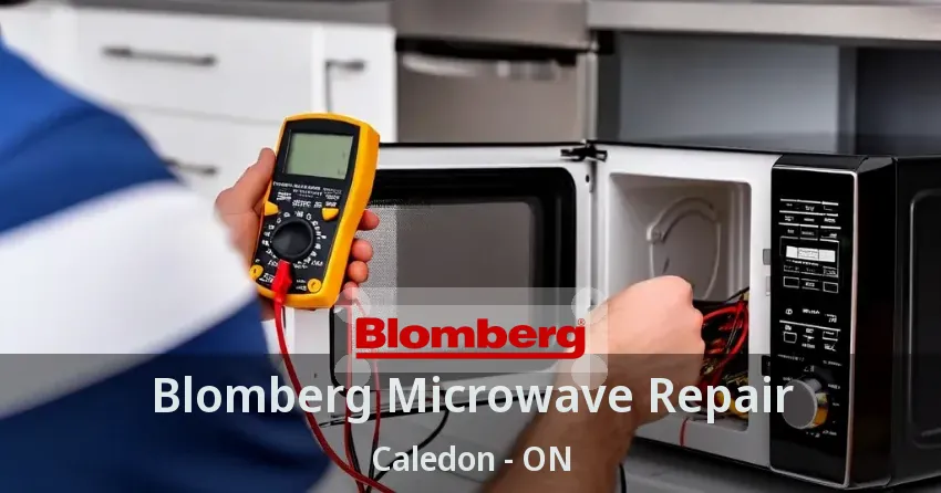 Blomberg Microwave Repair Caledon - ON