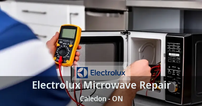 Electrolux Microwave Repair Caledon - ON