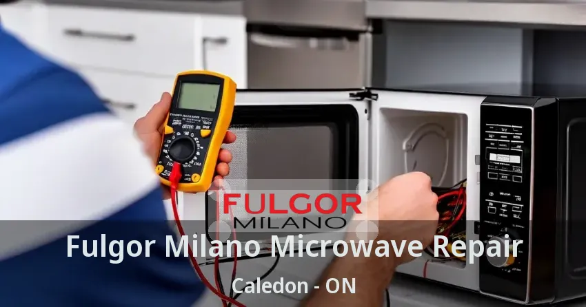 Fulgor Milano Microwave Repair Caledon - ON