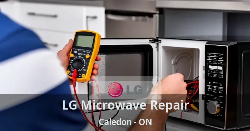 LG Microwave Repair Caledon - ON