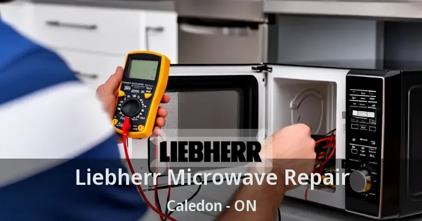 Liebherr Microwave Repair Caledon - ON