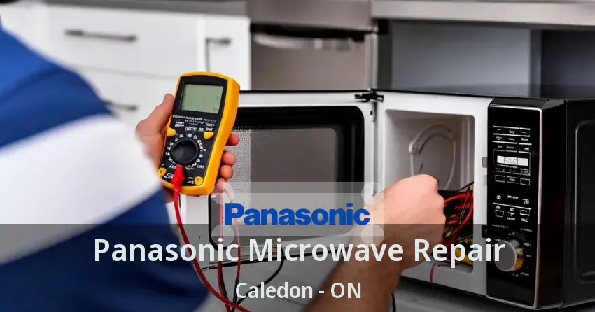 Panasonic Microwave Repair Caledon - ON