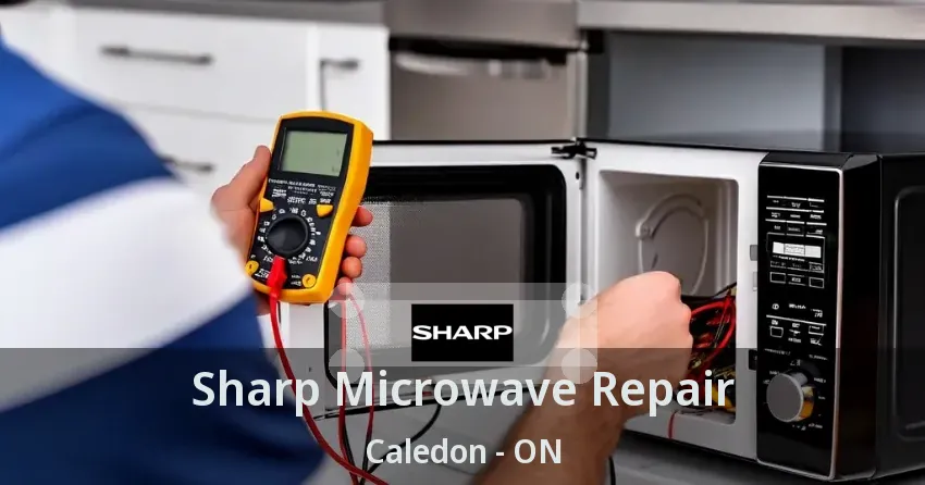 Sharp Microwave Repair Caledon - ON