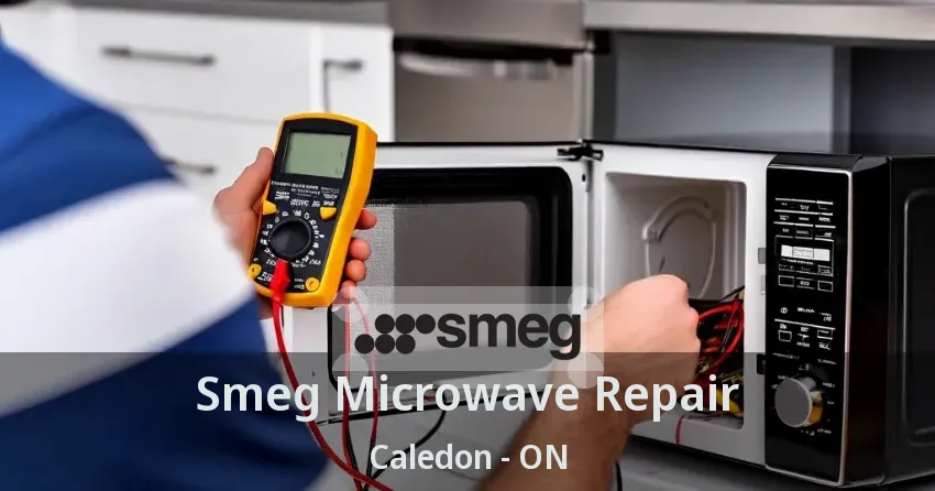 Smeg Microwave Repair Caledon - ON