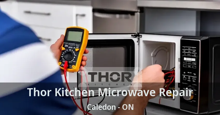 Thor Kitchen Microwave Repair Caledon - ON