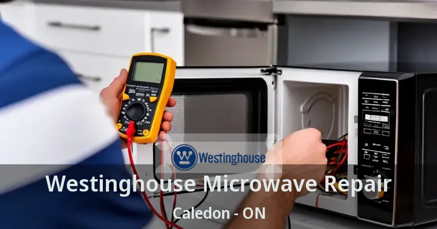 Westinghouse Microwave Repair Caledon - ON