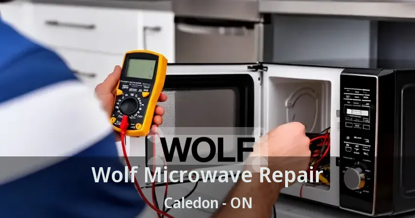 Wolf Microwave Repair Caledon - ON