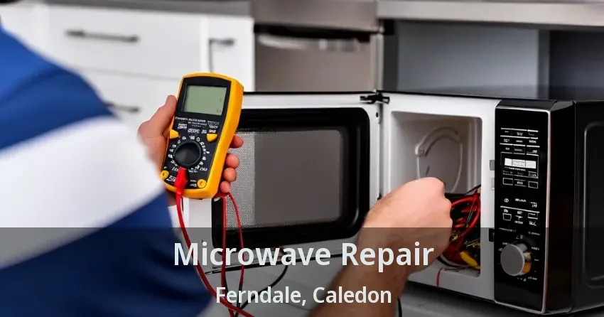 Microwave Repair Ferndale, Caledon - ON