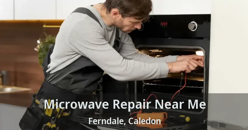 Microwave Repair Near Me Ferndale, Caledon - ON