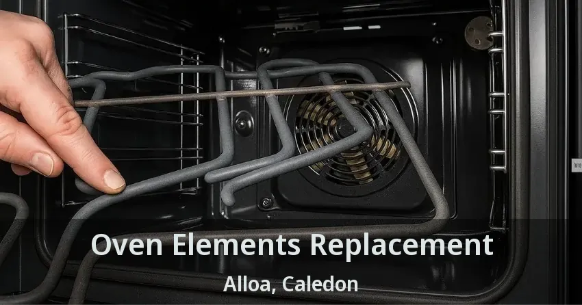 Oven Elements Replacement Alloa, Caledon - ON