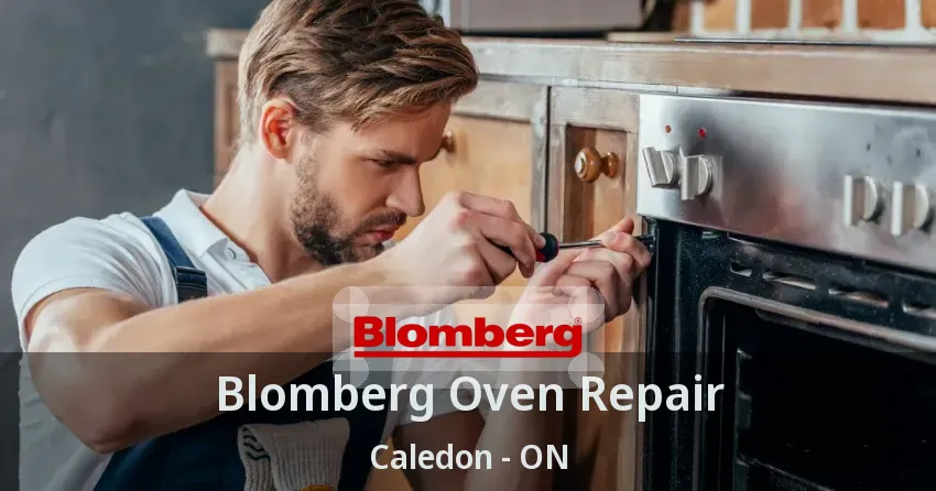 Blomberg Oven Repair Caledon - ON