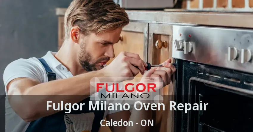 Fulgor Milano Oven Repair Caledon - ON