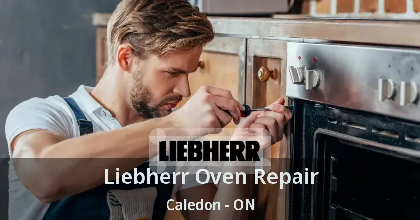 Liebherr Oven Repair Caledon - ON