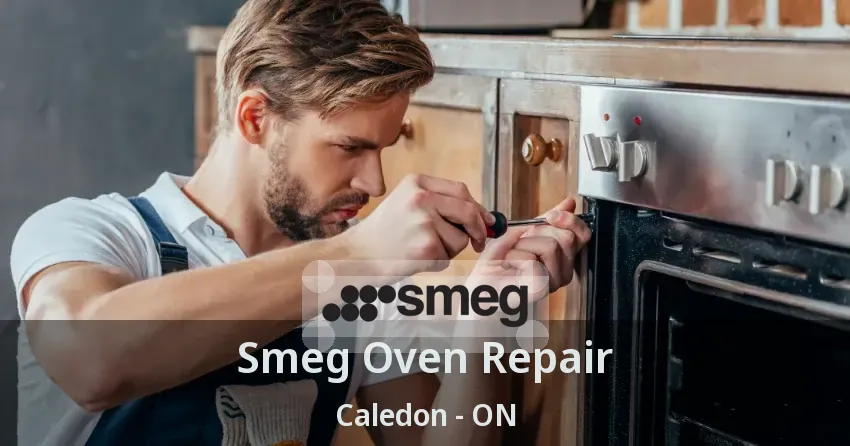 Smeg Oven Repair Caledon - ON