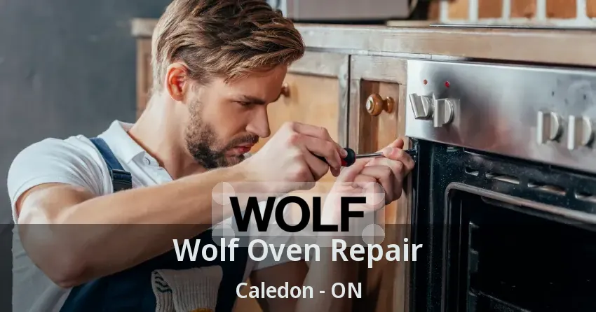 Wolf Oven Repair Caledon - ON