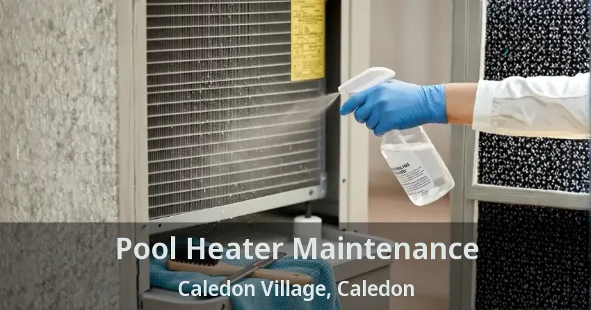Pool Heater Maintenance Caledon Village, Caledon - ON