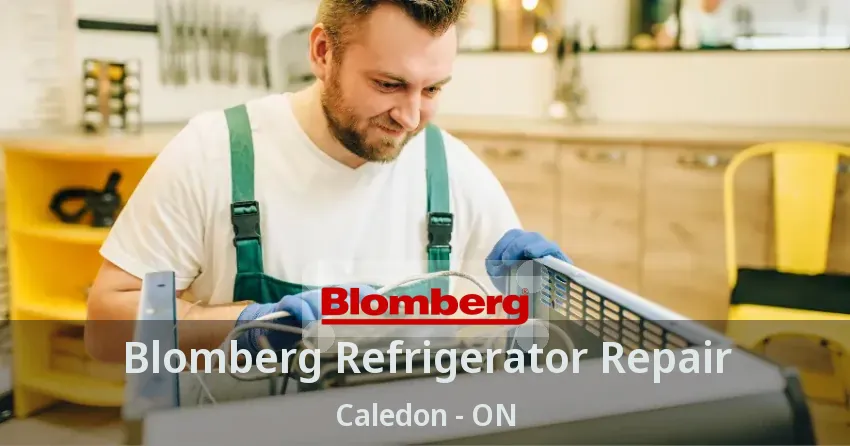 Blomberg Refrigerator Repair Caledon - ON