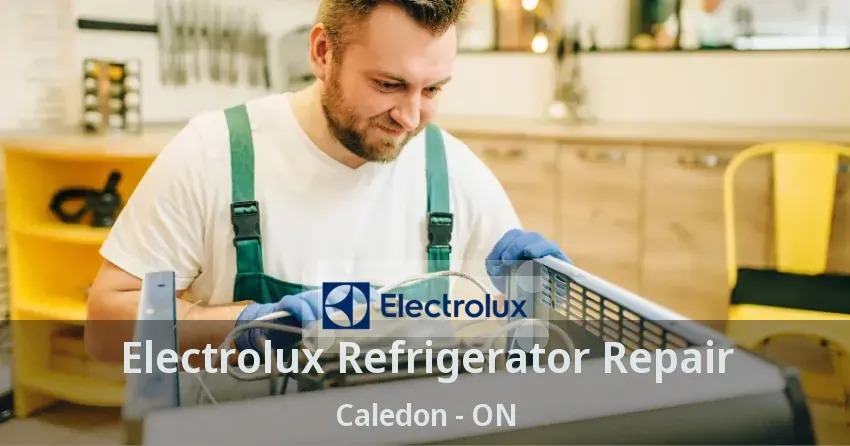 Electrolux Refrigerator Repair Caledon - ON
