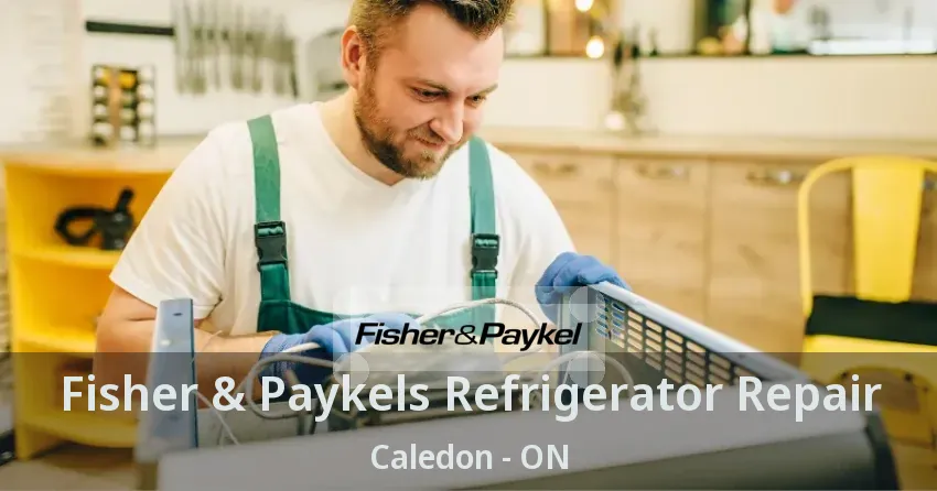 Fisher & Paykels Refrigerator Repair Caledon - ON