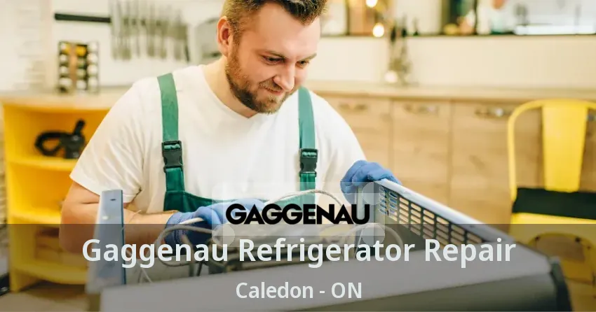 Gaggenau Refrigerator Repair Caledon - ON