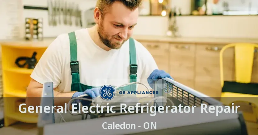General Electric Refrigerator Repair Caledon - ON