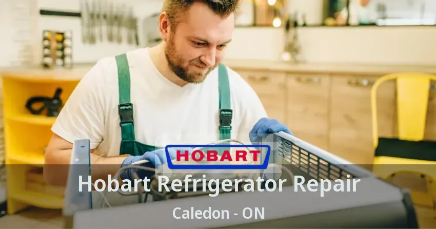 Hobart Refrigerator Repair Caledon - ON