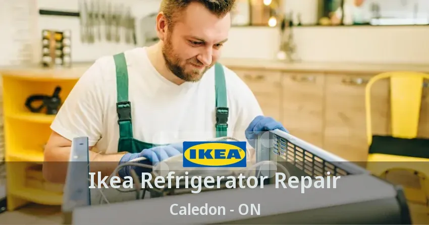 Ikea Refrigerator Repair Caledon - ON