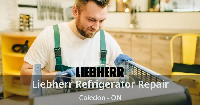 Liebherr Refrigerator Repair Caledon - ON