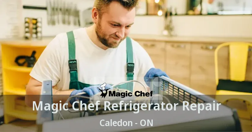 Magic Chef Refrigerator Repair Caledon - ON