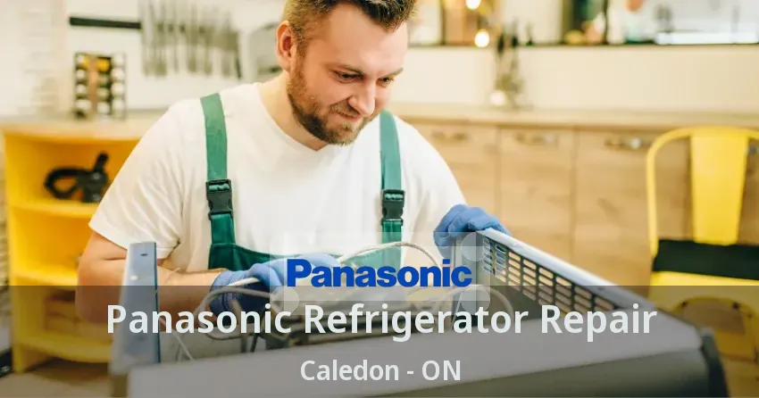 Panasonic Refrigerator Repair Caledon - ON