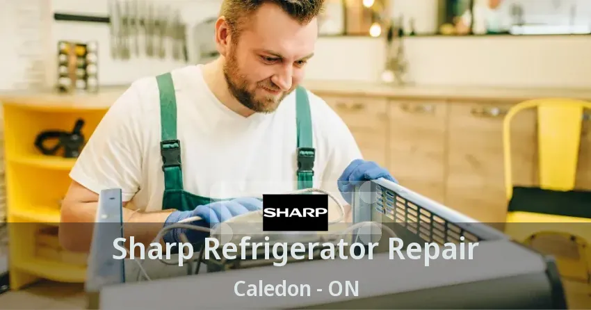 Sharp Refrigerator Repair Caledon - ON