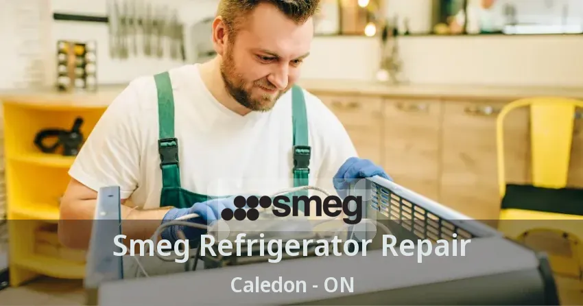 Smeg Refrigerator Repair Caledon - ON