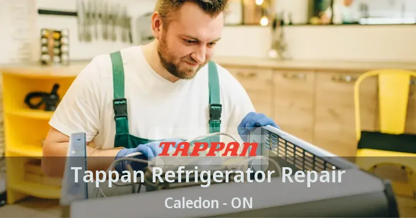 Tappan Refrigerator Repair Caledon - ON