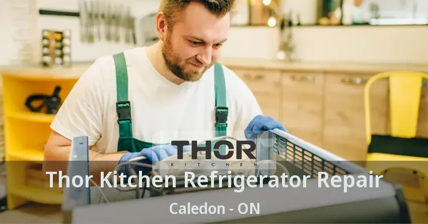 Thor Kitchen Refrigerator Repair Caledon - ON