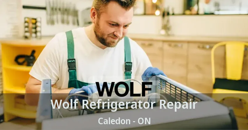 Wolf Refrigerator Repair Caledon - ON